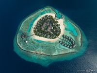 Мальдивские острова №38