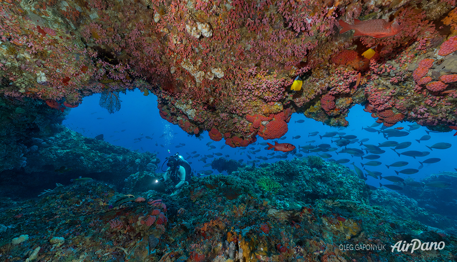 Подводная пещера, Комодо, Индонезия