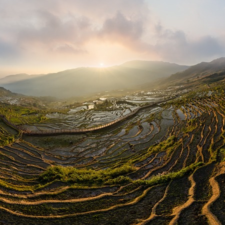 Rice Terraces, Yunnan province, China