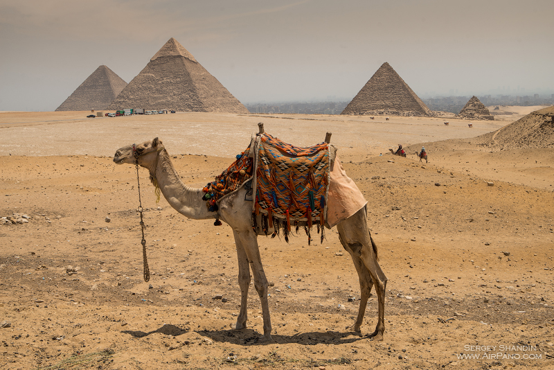 Великие пирамиды Гизы - 17 вопросов и ответов, краткое описание и советы по посещению