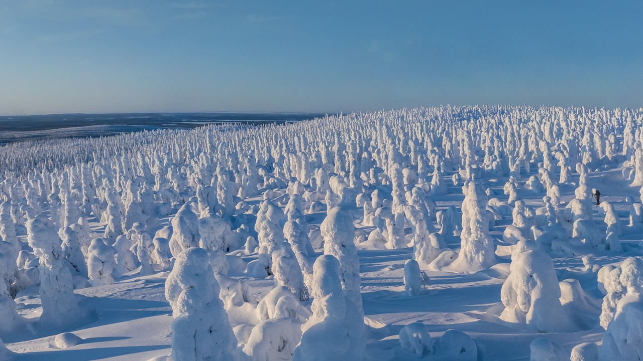 Времена года. Зима. Релакс полет