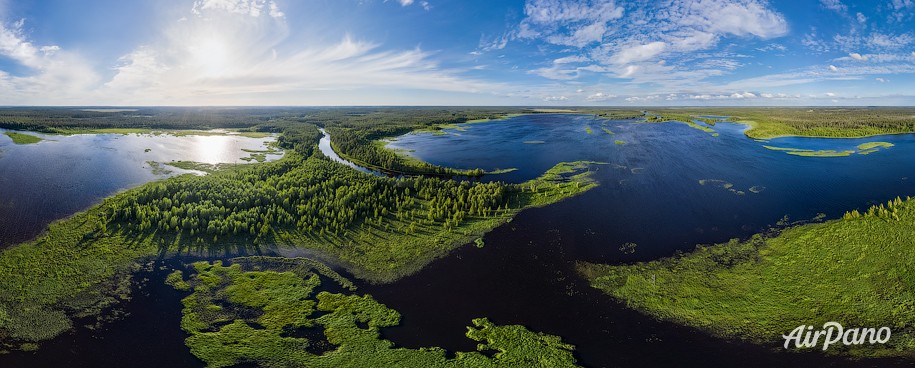 Водлозерский парк фото