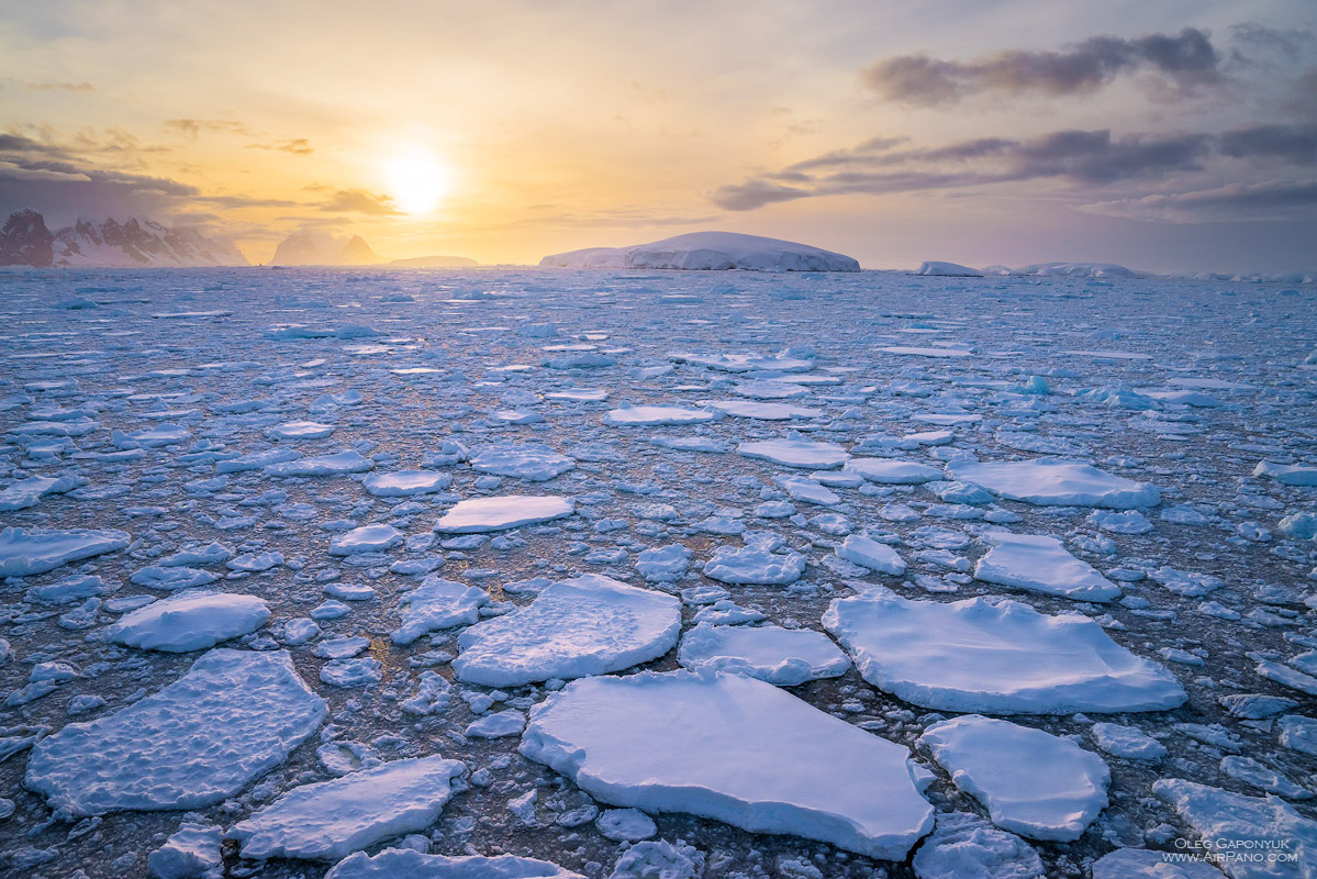 Креоны в антарктиде существуют ли фото