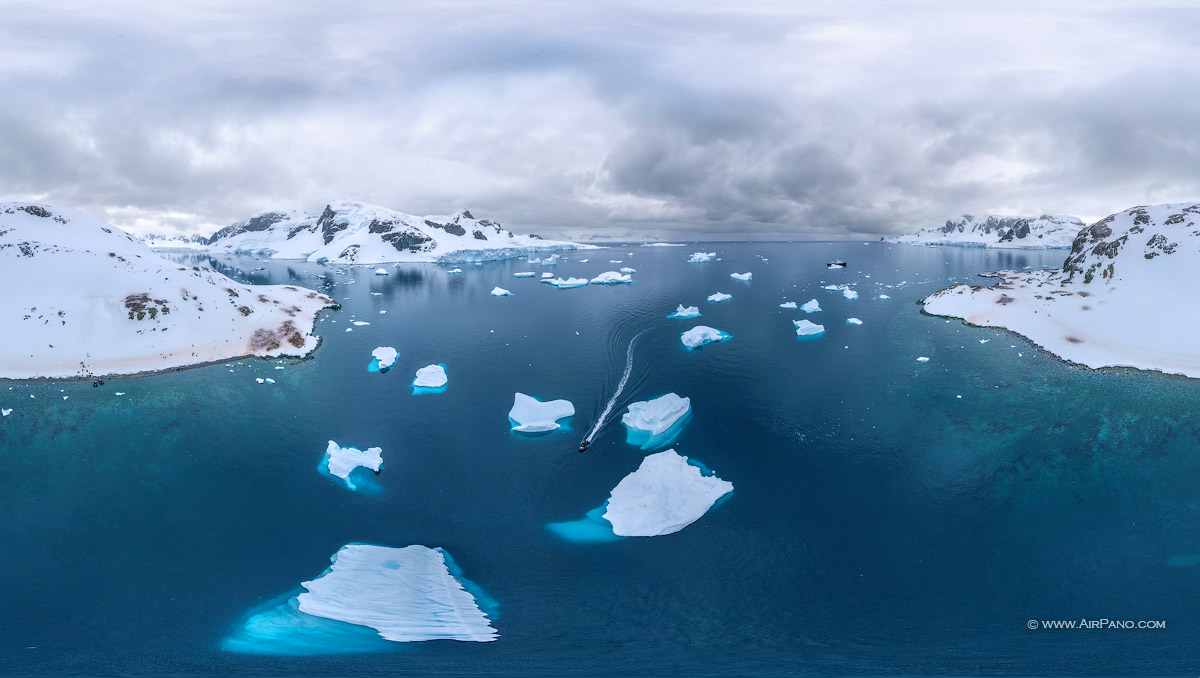 Креоны в антарктиде существуют ли фото
