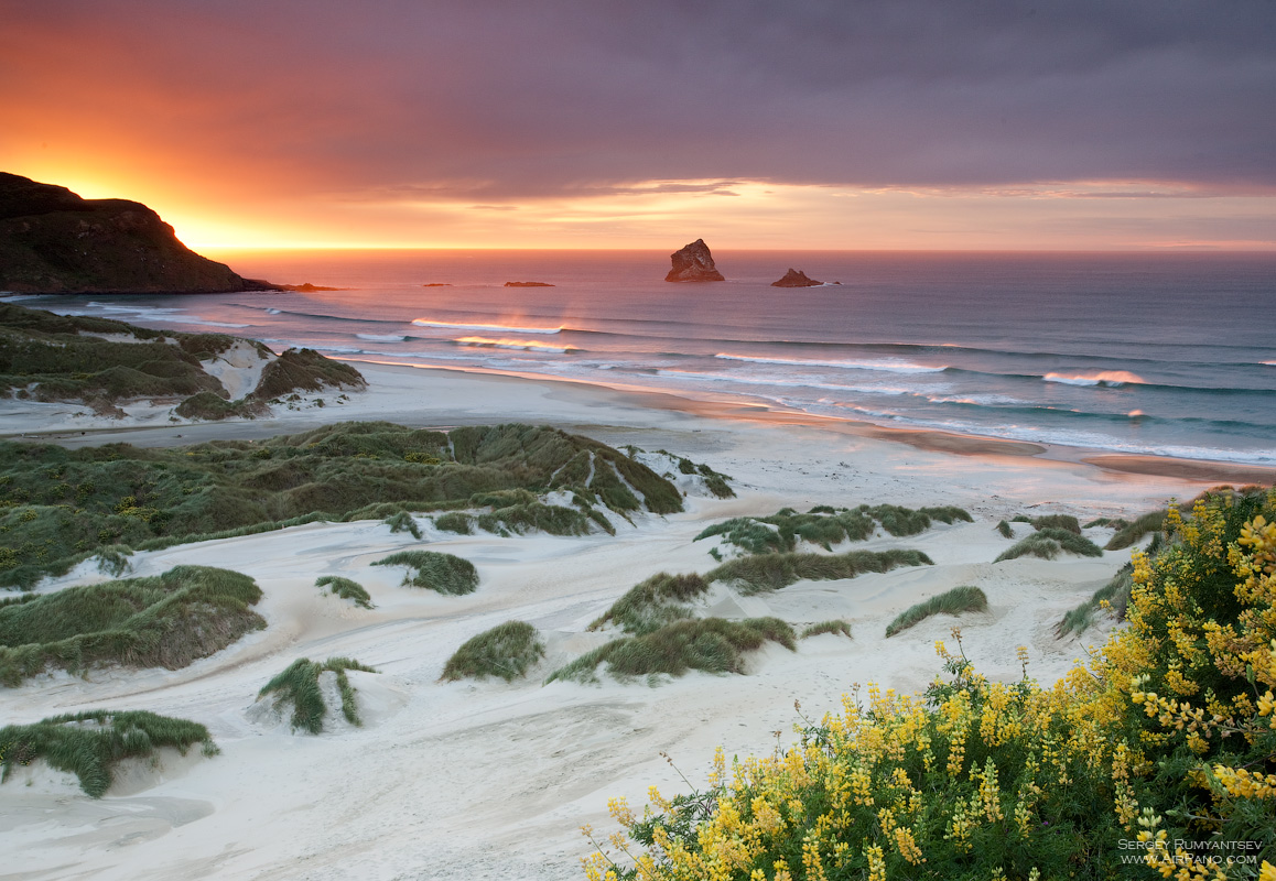 Otago Peninsula новая Зеландия