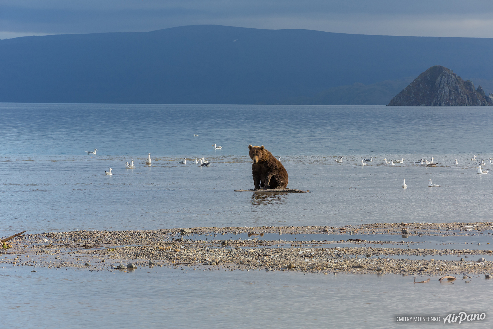 Медвежье озеро Камчатка